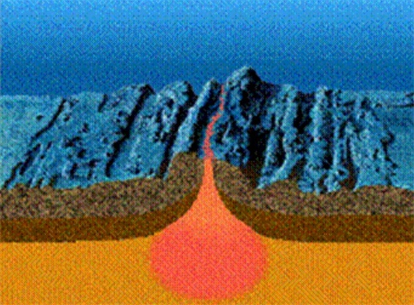 神奇海洋今日答案（2026年2月8日）