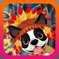 端庄的狗手机免费版