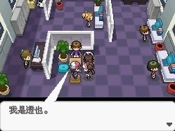 口袋妖怪超透黑2 标准版
