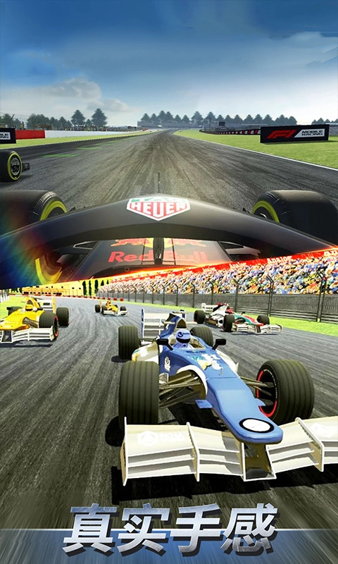 F1赛车模拟3D安卓直装版图2