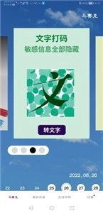 马赛克编辑器专业版(2)