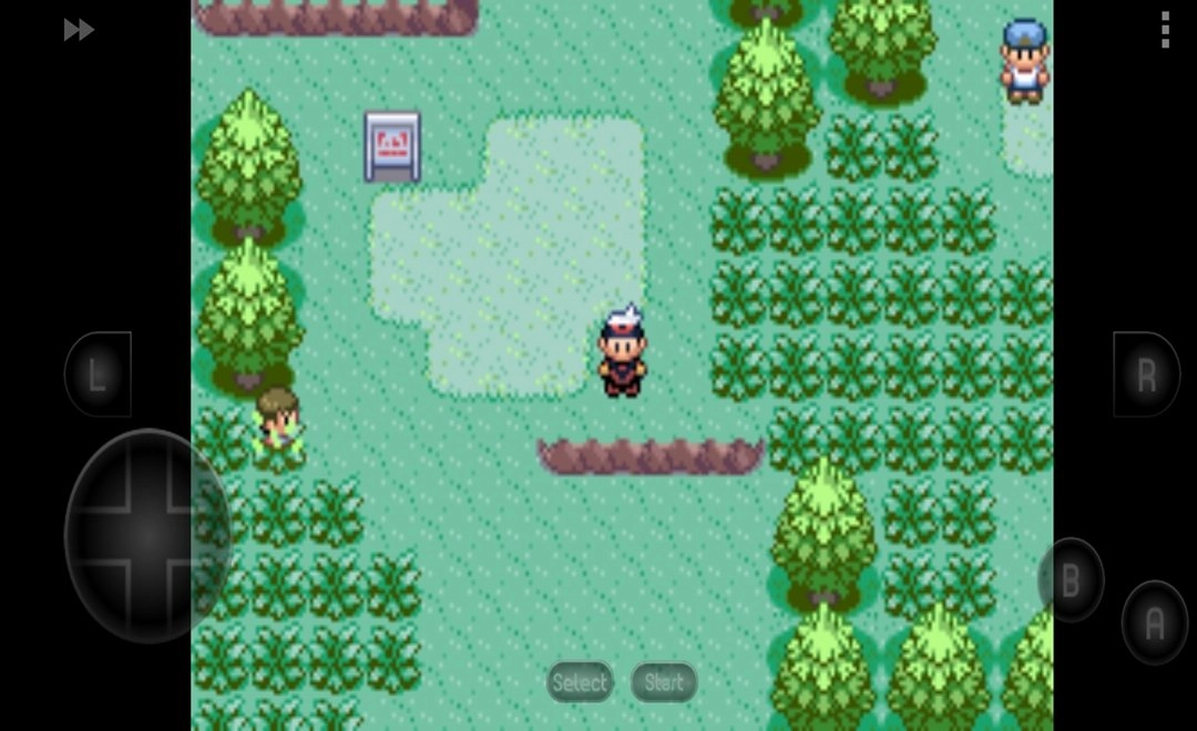 口袋妖怪红宝石汉化版图3