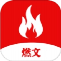 燃文小说阅读器原版