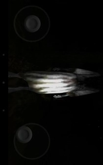恐怖森林汉化版