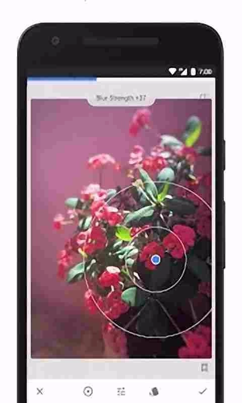 Snapseed照片编辑无广告版