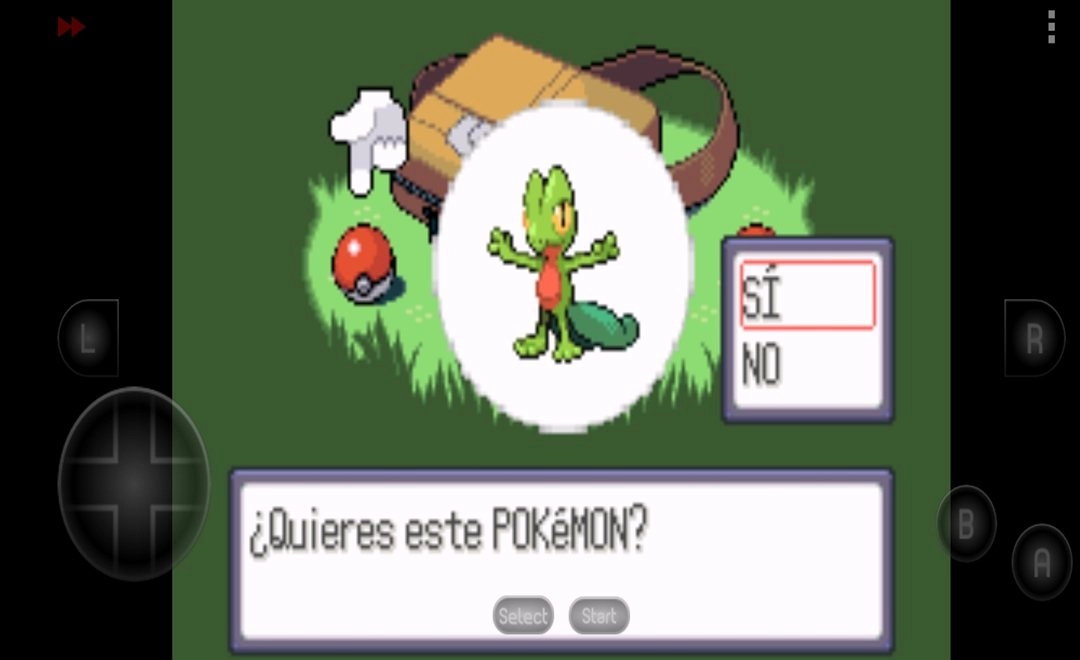 口袋妖怪红宝石汉化版图2