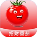 招财番茄安卓官方版