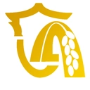 新隆安官方版