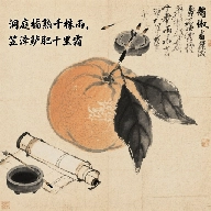橘多多词库手机免费版