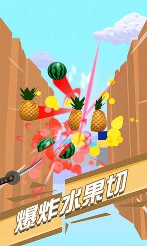武士切切切安卓版