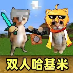 双人对战2