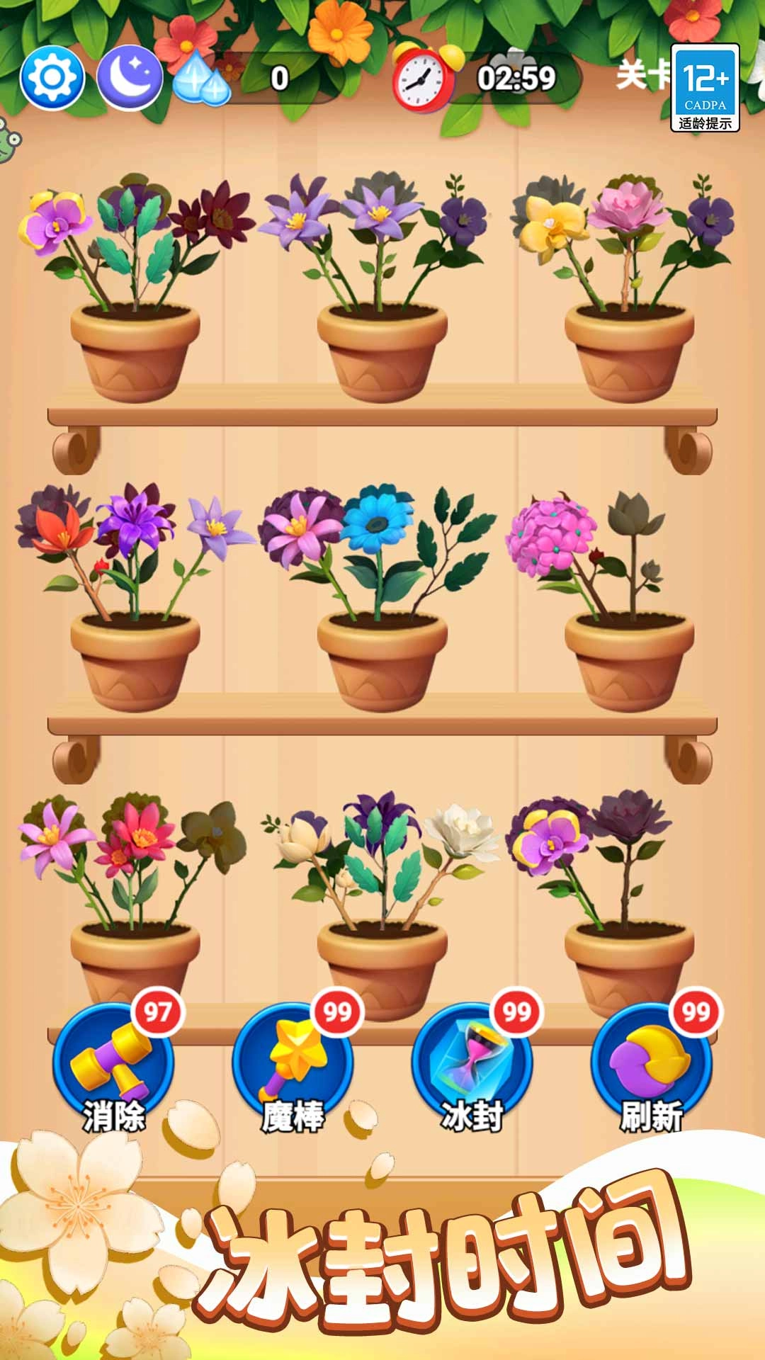 花花合合乐安卓直装版图3