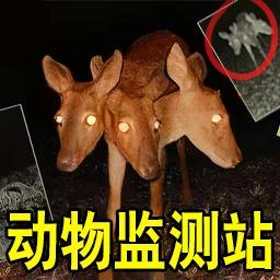 恐怖动物园探险安卓版