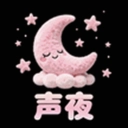 声夜派对正版