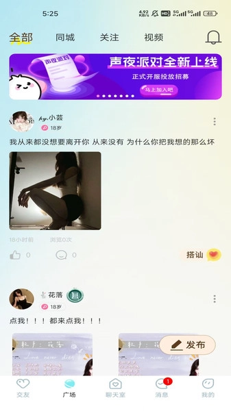 声夜派对正版
