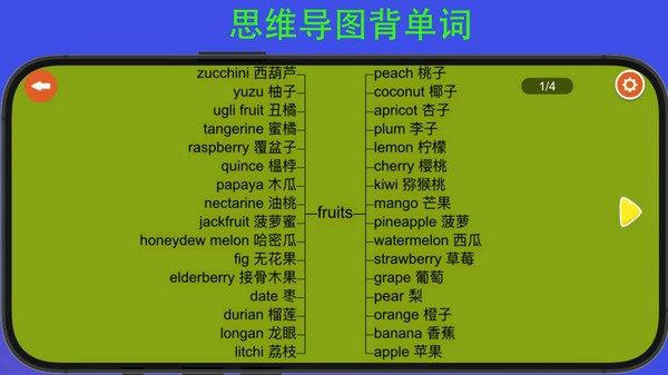 河马背单词安卓版
