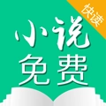 小说快读原版