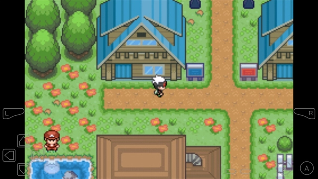 口袋妖怪究极绿宝石游戏完整版图4