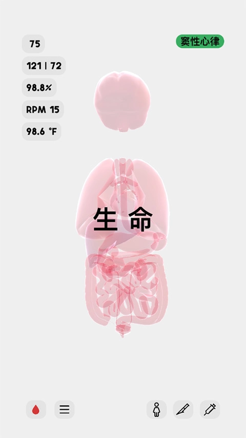 生命life中文手游无广告版