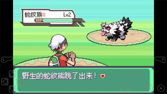 口袋妖怪究极绿宝石游戏完整版图5