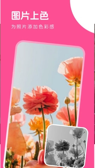 萌喵相机直装版