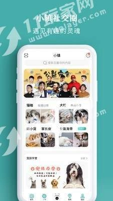 宠朕手机免费版图2