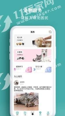 宠朕手机免费版图3