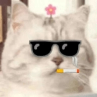 楠鑫社工小助手免费版