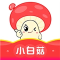 小白菇最新免费版