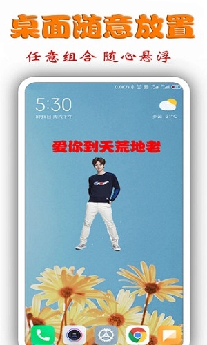 桌面明星秀正版图3