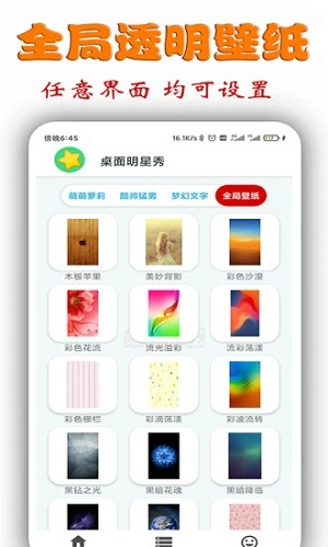 桌面明星秀正版图5