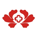 健康洛阳直装版