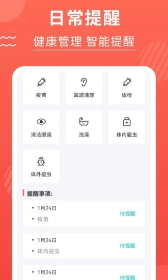 猫猫翻译器最新免费版图2