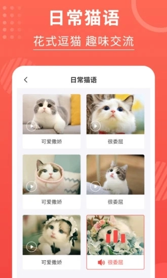 猫猫翻译器最新免费版图3
