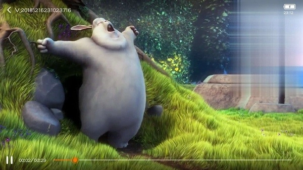 万能视频播放器原版图5
