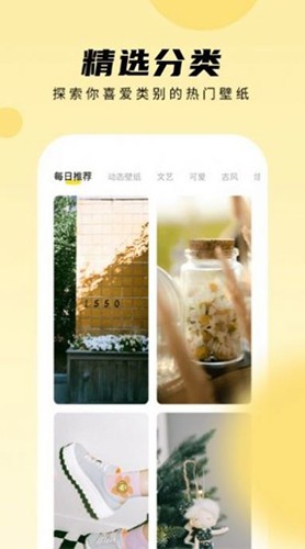 皮皮壁纸安卓免费版图3