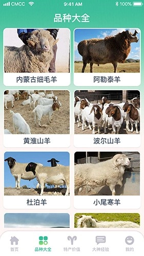 养羊指南官方正版图1