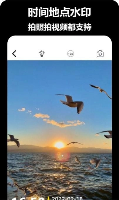 tok相机手机最新版图4