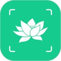 识花君植物识别安卓免费版