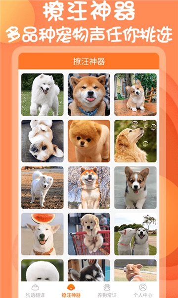 小铃铛狗语翻译器手机版图2