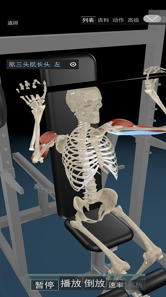 3D动态解剖免费版图2