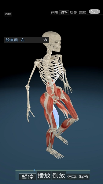 3D动态解剖免费版图3