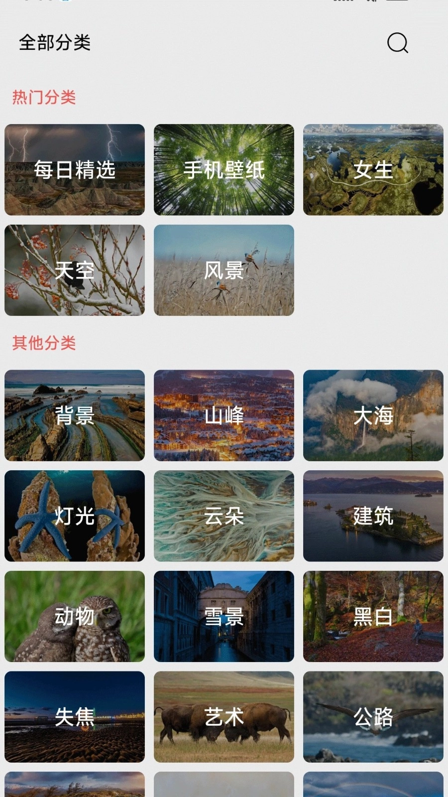 伞果壁纸手机最新版图3