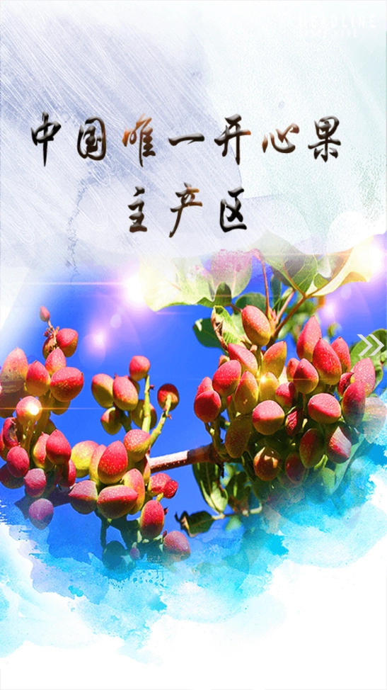 疏附好地方无广告版图4