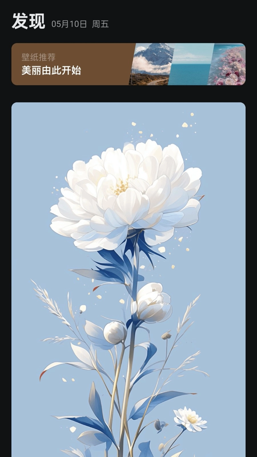 阿讦壁纸手机免费版图2