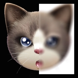 趣拍玩图照相机直装版