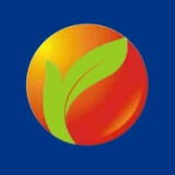 饶阳阳光市场手机最新版