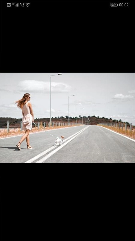 Pinbox安卓官方版