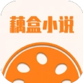 藕盒小说官方最新版
