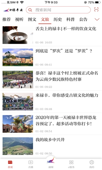 e禄丰云安卓直装版图3